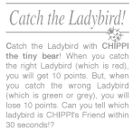 Catch the Ladybird!